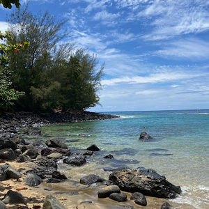 Meet your Posher, Arielle